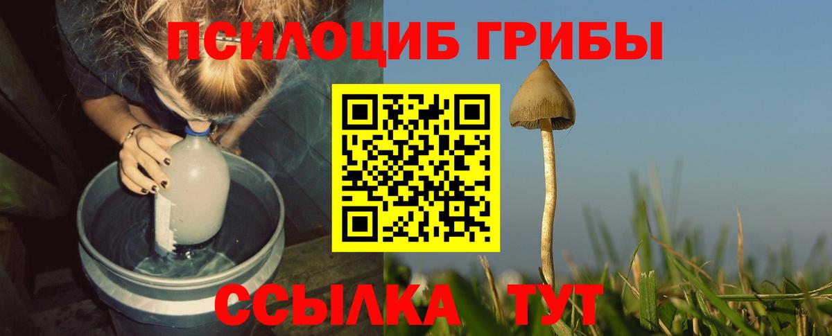 Псилоцибиновые грибы Magic Shrooms Краснознаменск