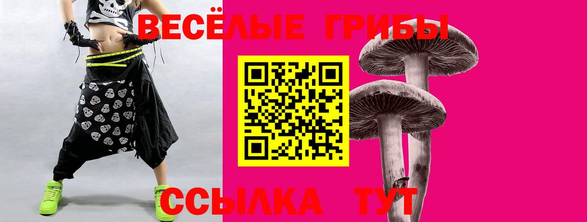 Галлюциногенные грибы GOLDEN TEACHER  Вход с VPN  Краснознаменск 